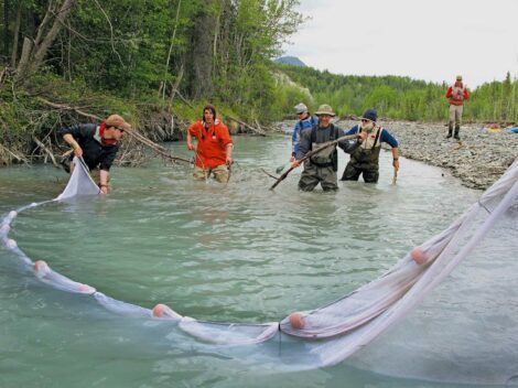 Copper River, Alaska