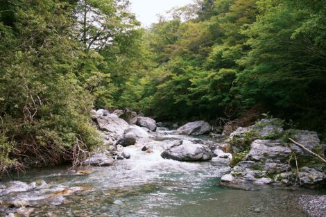 Sarufutsu Environmental Conservation Forest, Hokkaido, Japan