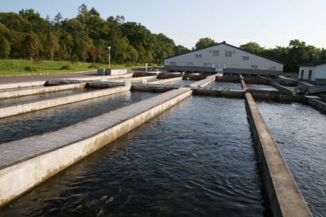 Outdoors: Salmon River Hatchery continues to thrive