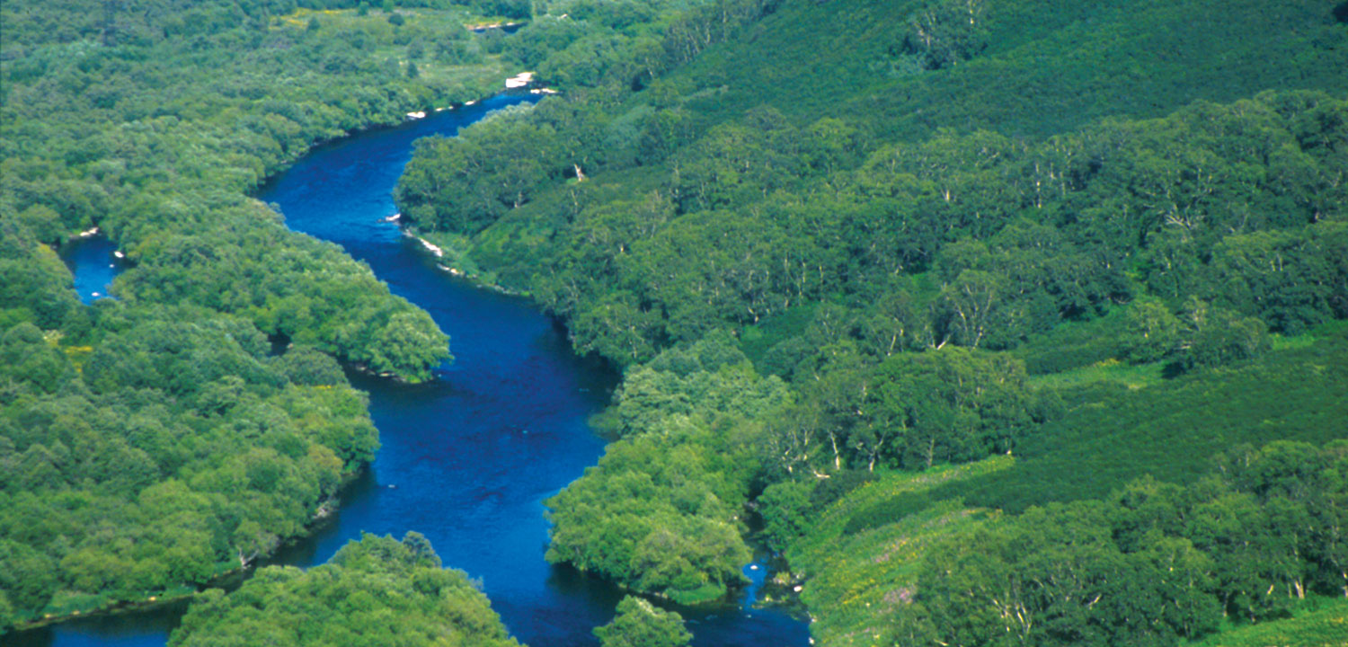 Aerial shot of the Bolshaya River, Russia