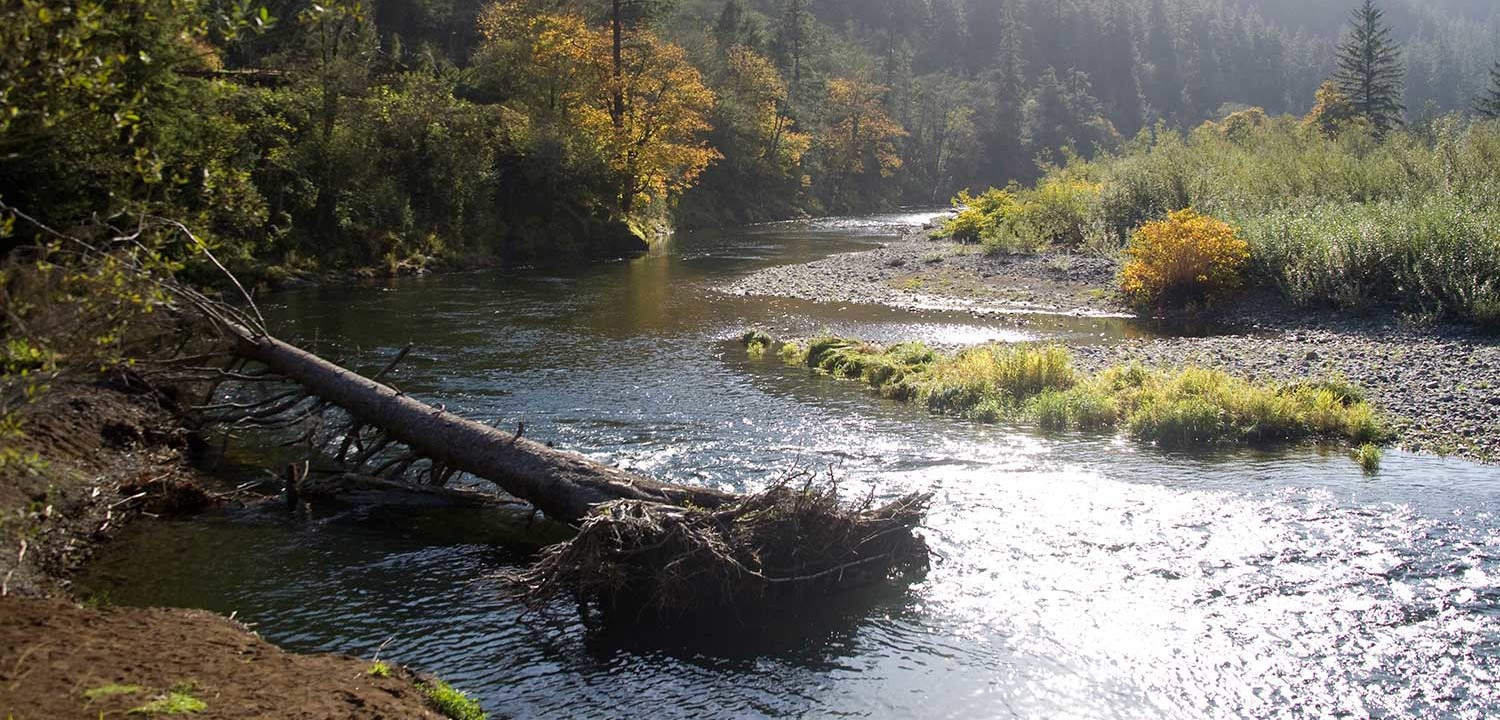 Tillamook River, Oregon