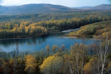 Koppi River, Russia