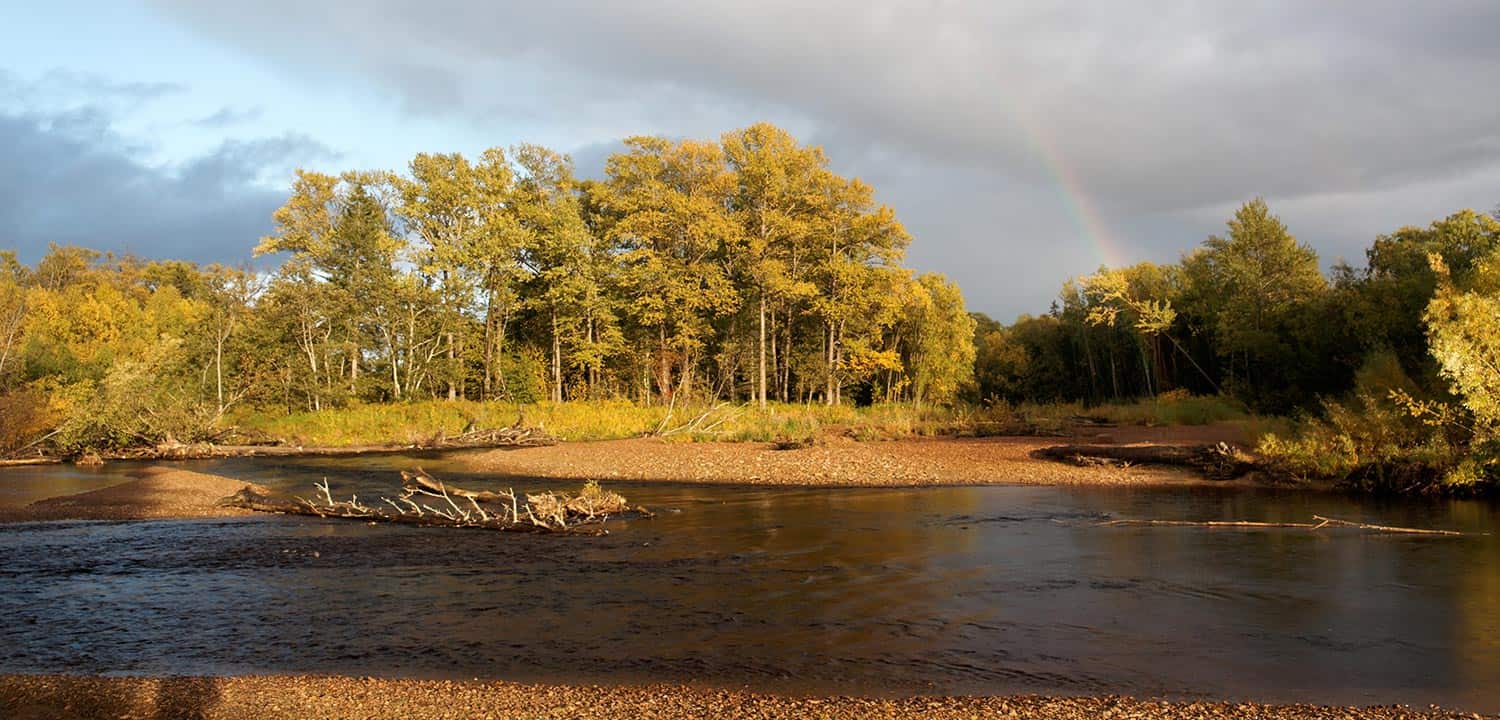 River in Russia's Sakhalin Region