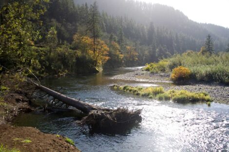Tillamook River, Oregon
