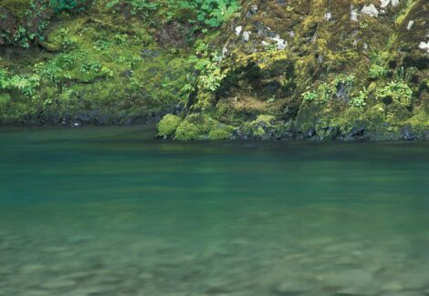 Sol Duc River, Olympic Peninsula, Washington.