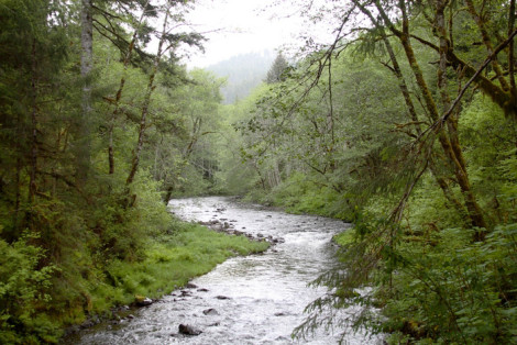 Nehalem River, Oregon