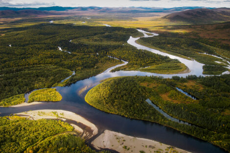 Nushagak River, Bristol Bay, Alaska