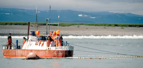 Karaginsky Bay salmon fishery, Kamchatka