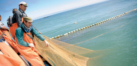 Fishing in Kamchatka's Karaginsky Bay