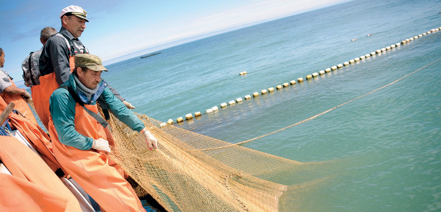 Fishing in Kamchatka's Karaginsky Bay