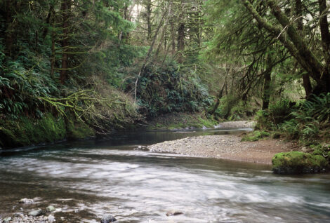 Conservation Areas in Oregon State Forests Wild Salmon Center