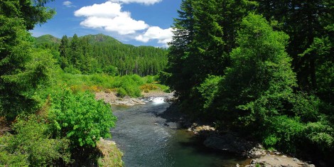 Wilson River Oregon