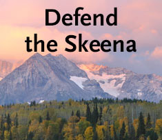 DefendtheSkeena-sm