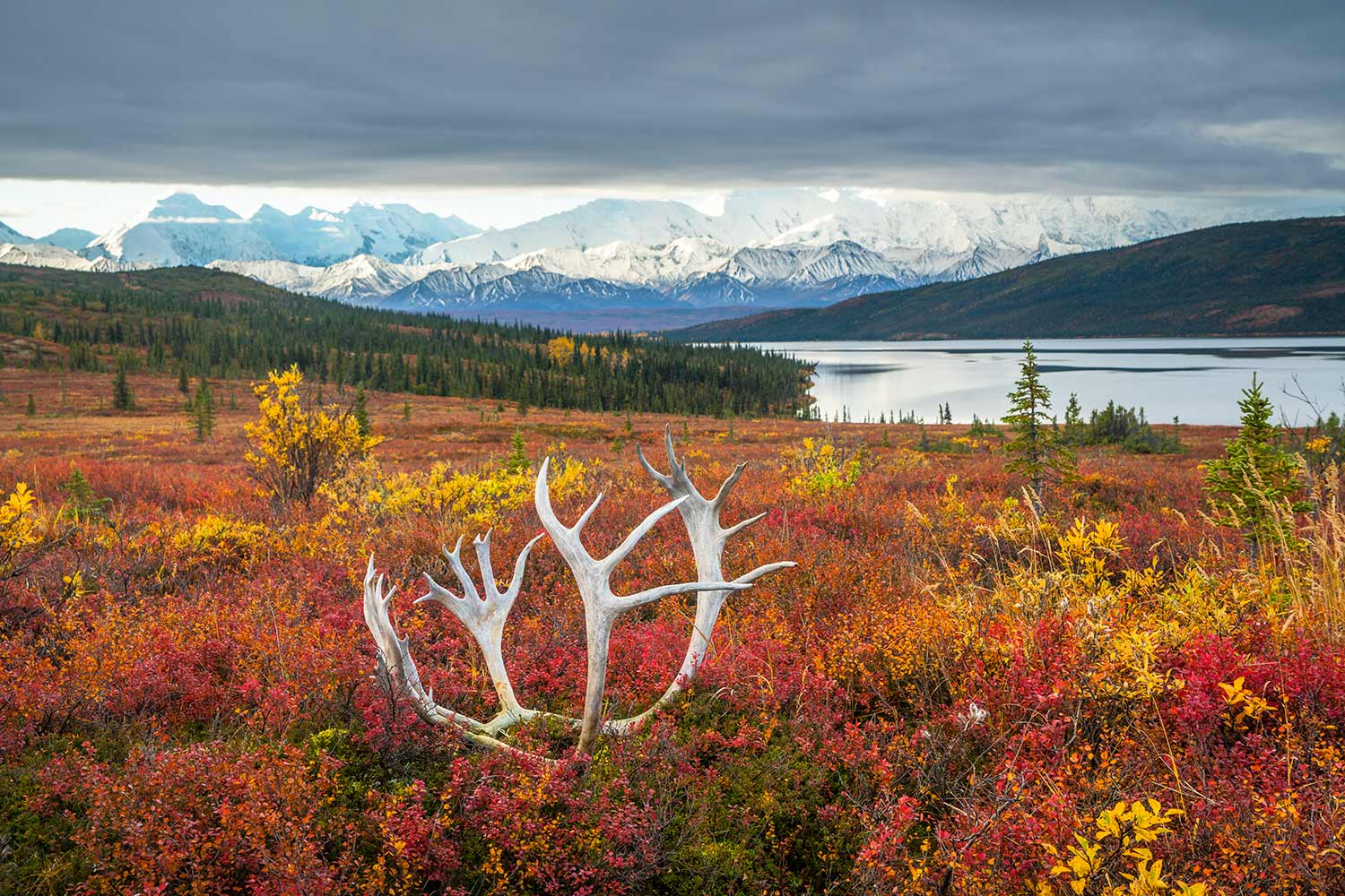 Chris Burkard, Denali National Park, Alaska