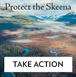 protect-skeena-250