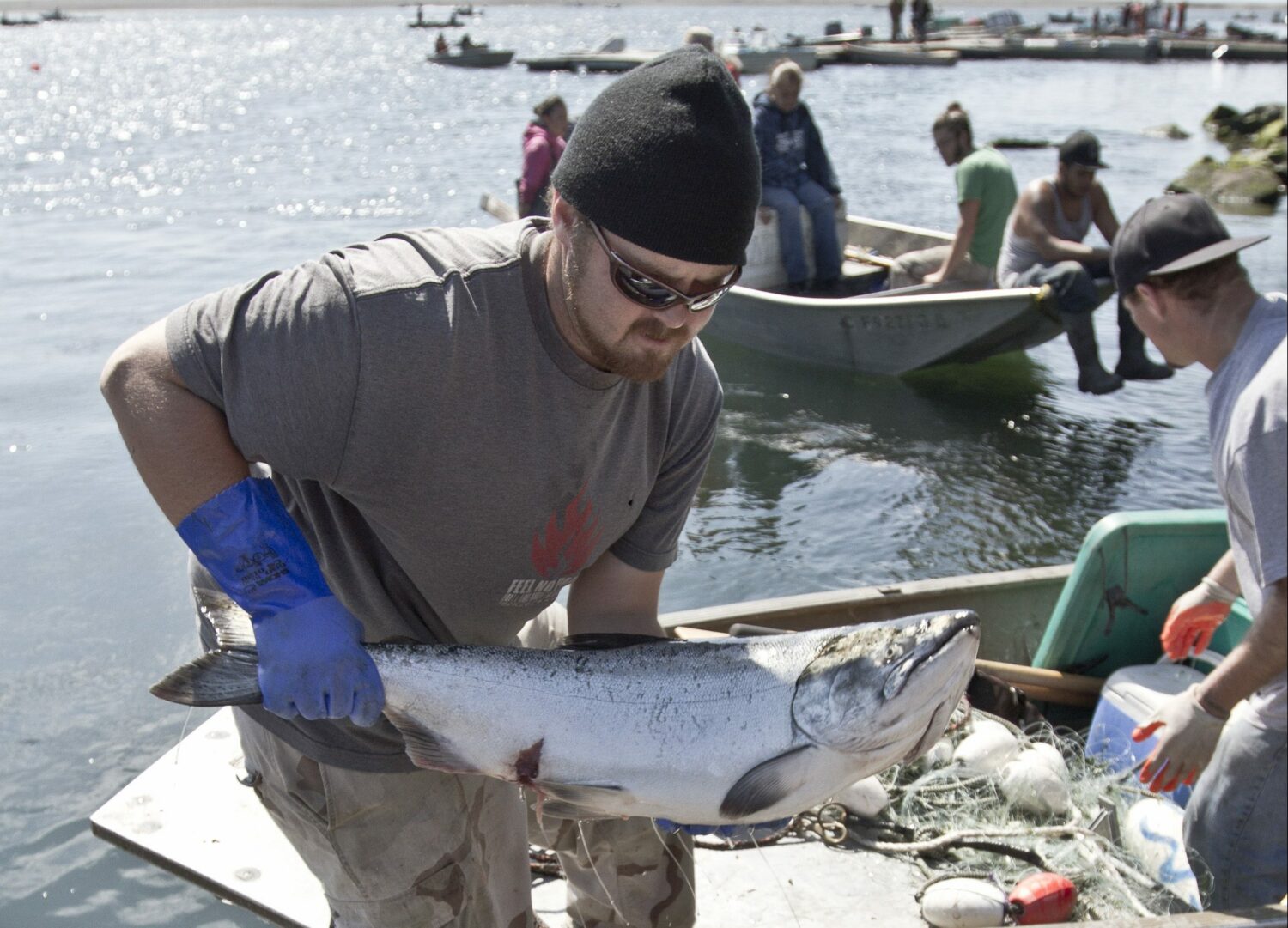 Salmon: A Keystone Species - Pacific Wild