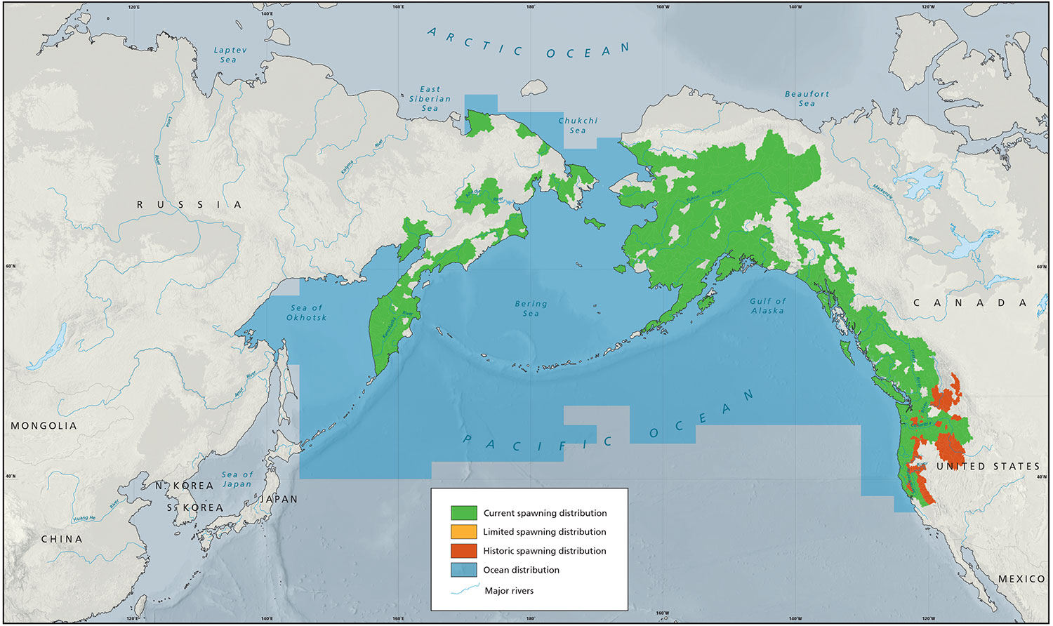 Chinook Distribution