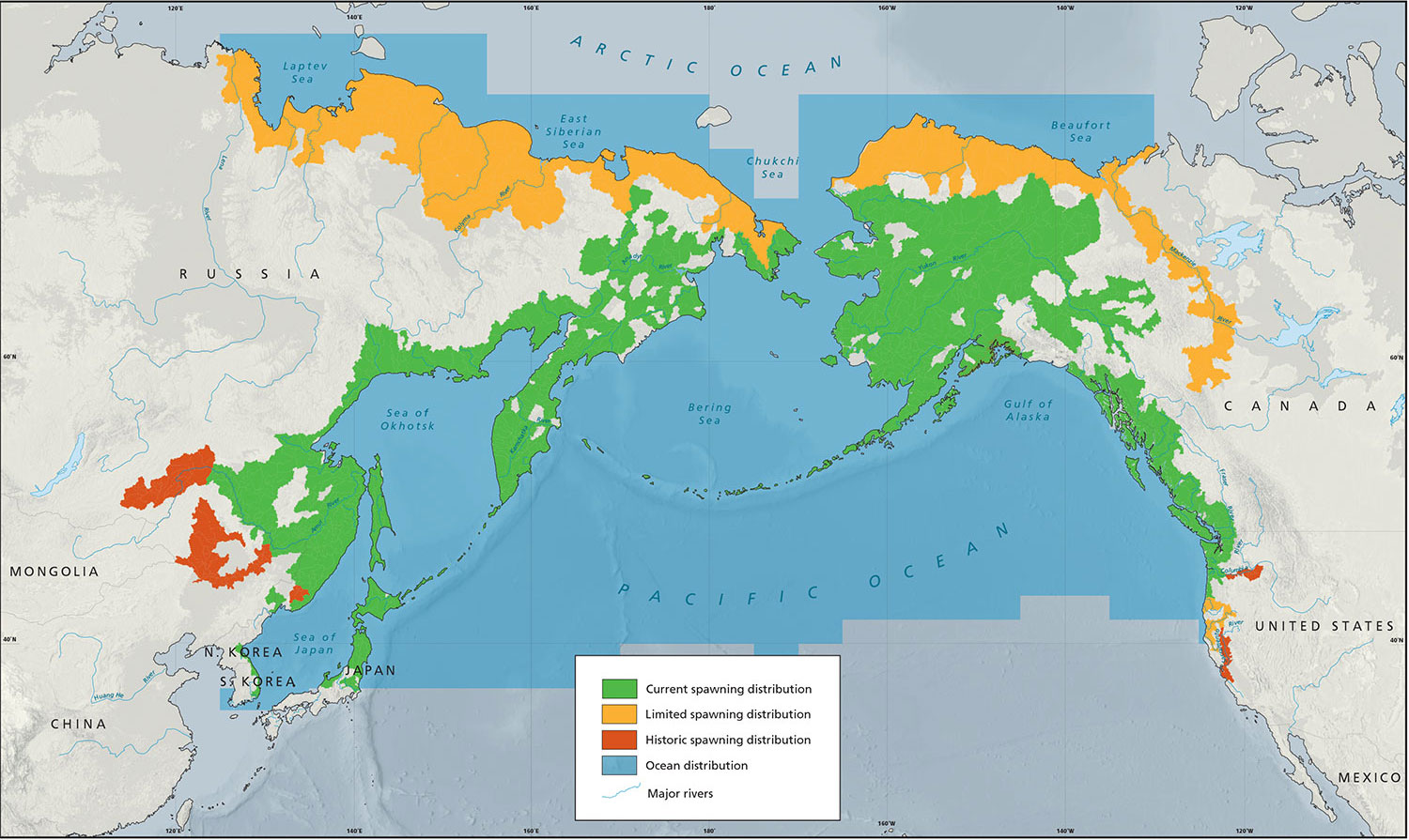 chum-salmon-wild-salmon-center