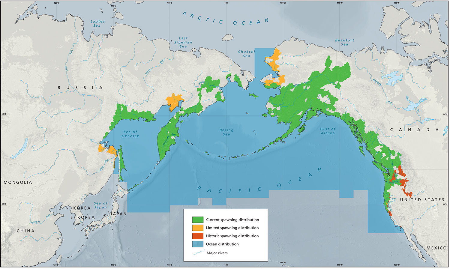 Coho Distribution