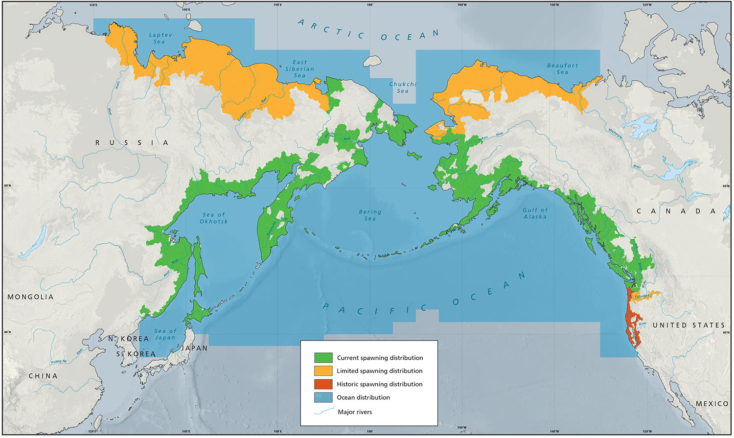 salmon life cycle map