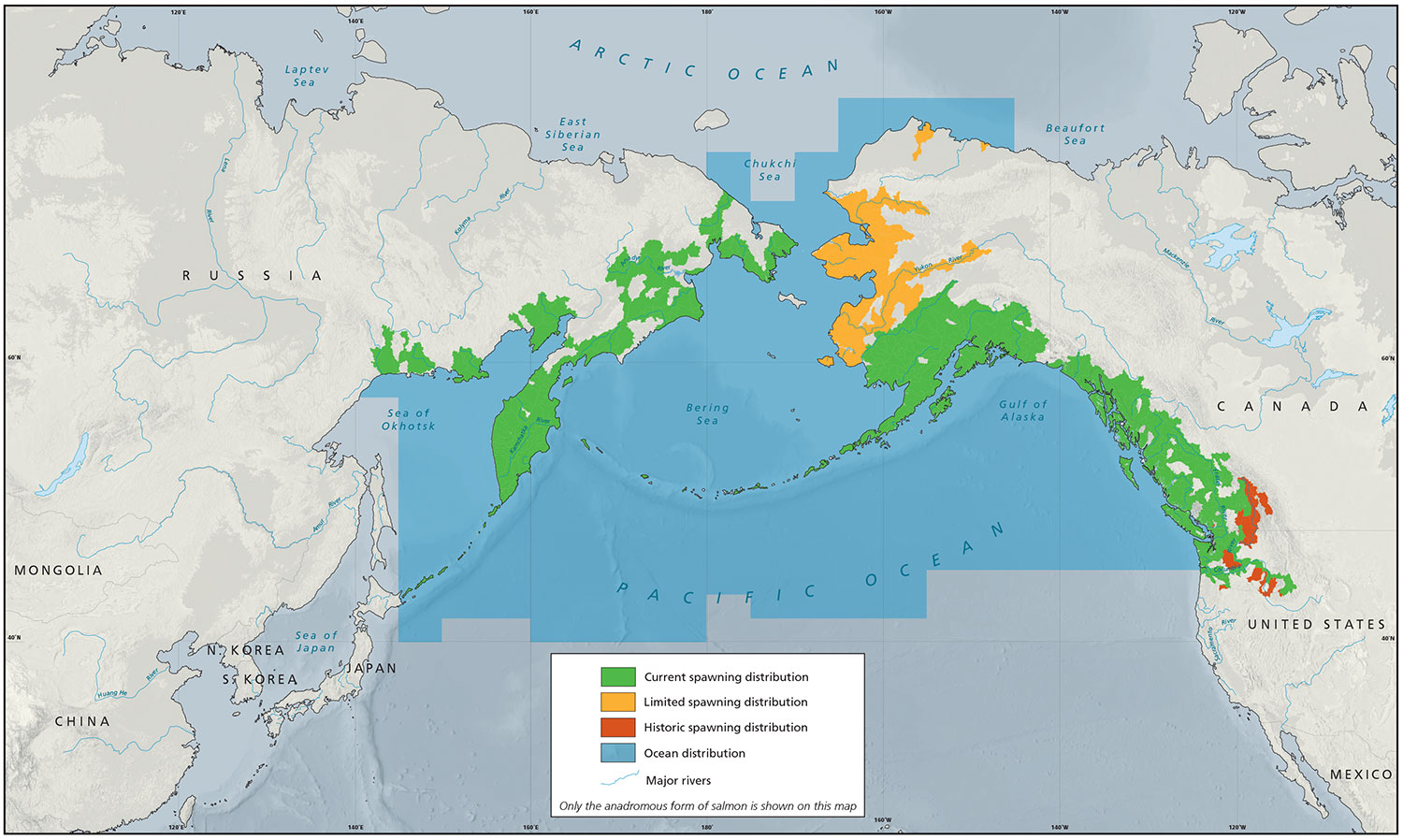 Sockeye Distribution