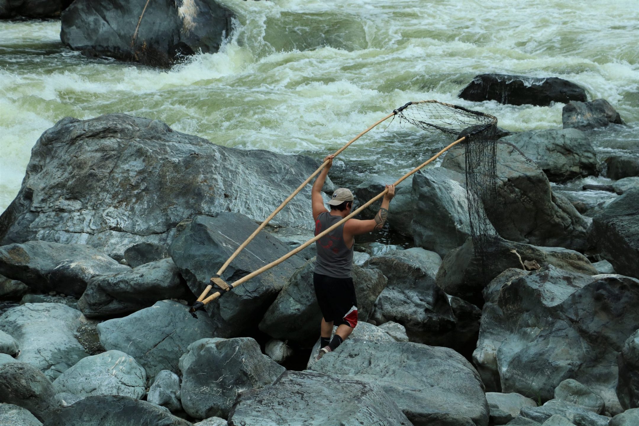 First Salmon, Last Chance - PART II - Wild Salmon Center