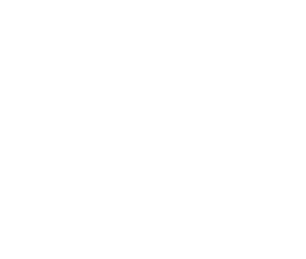 Wild Salmon Center logo