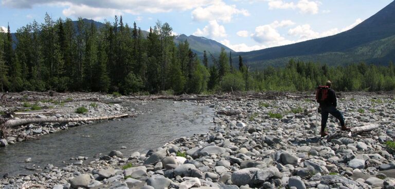 Going Wild in Alaska