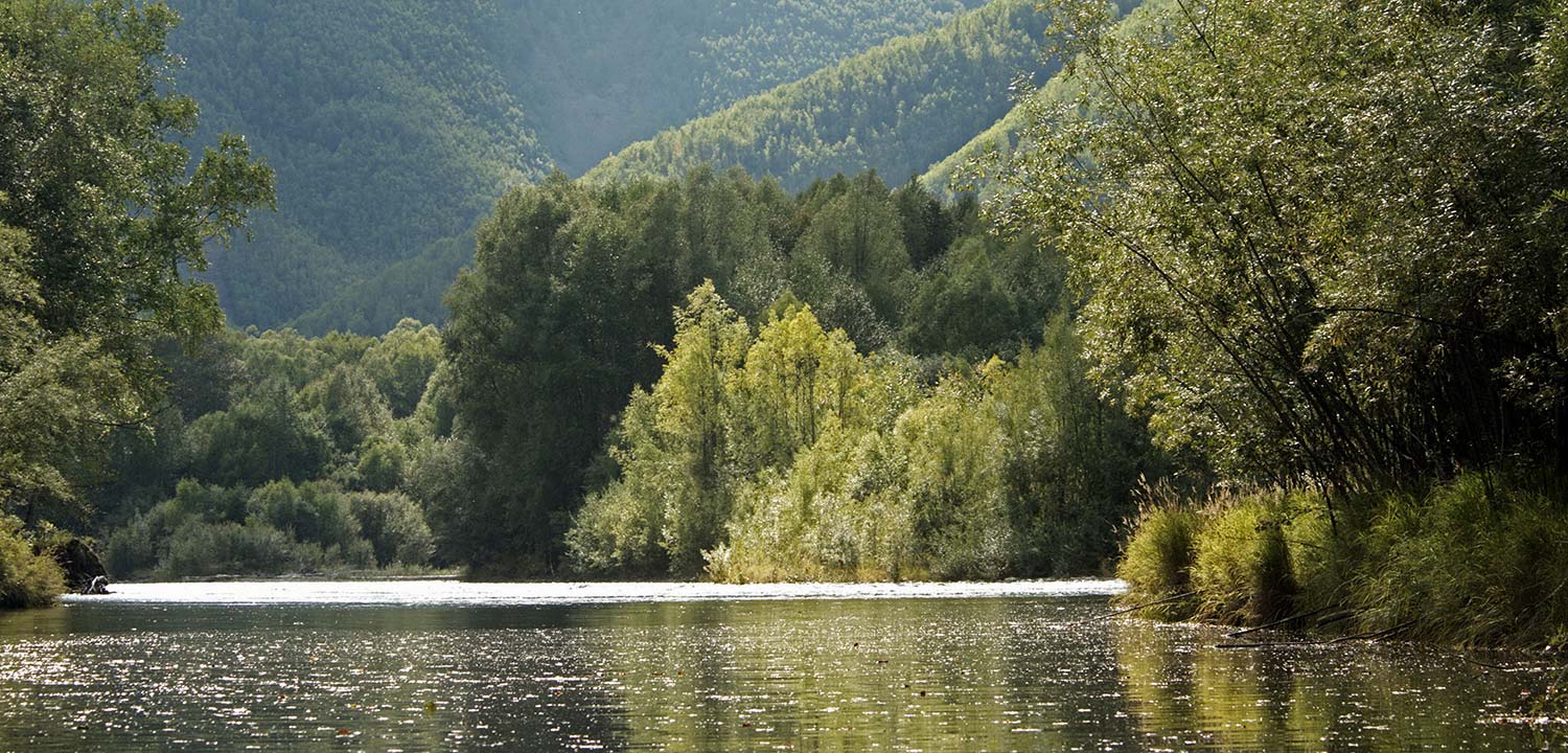 Koppi River, Russia