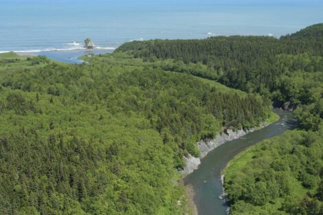 Vostochny Wildlife Refuge, Sakhalin, Rússia