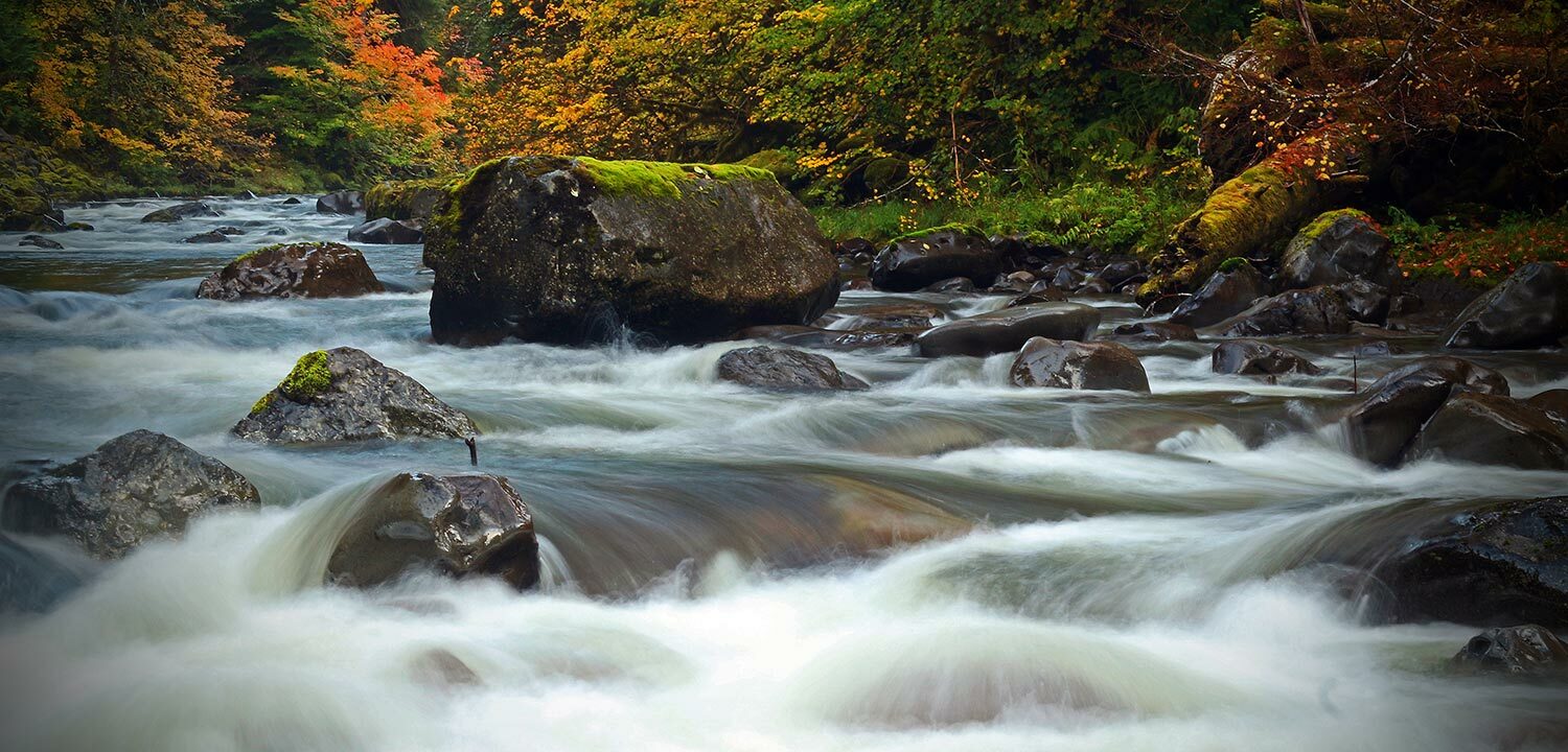 Sol Duc River in fall colors
