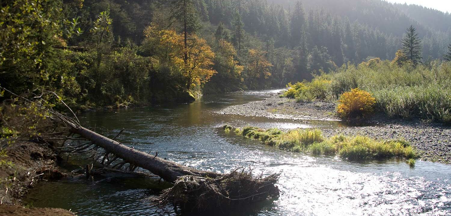 Tillamook River, Oregon