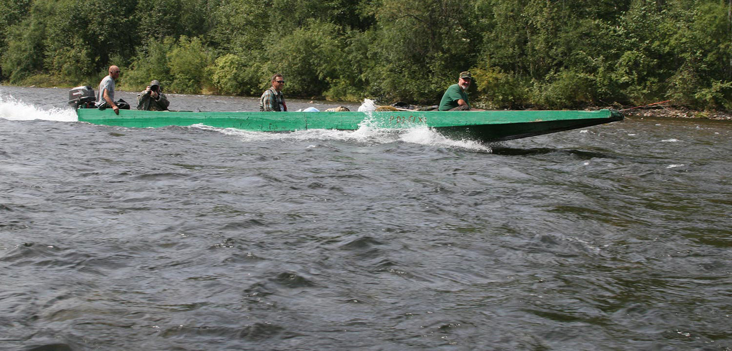 Koppi Trip Pete Rand