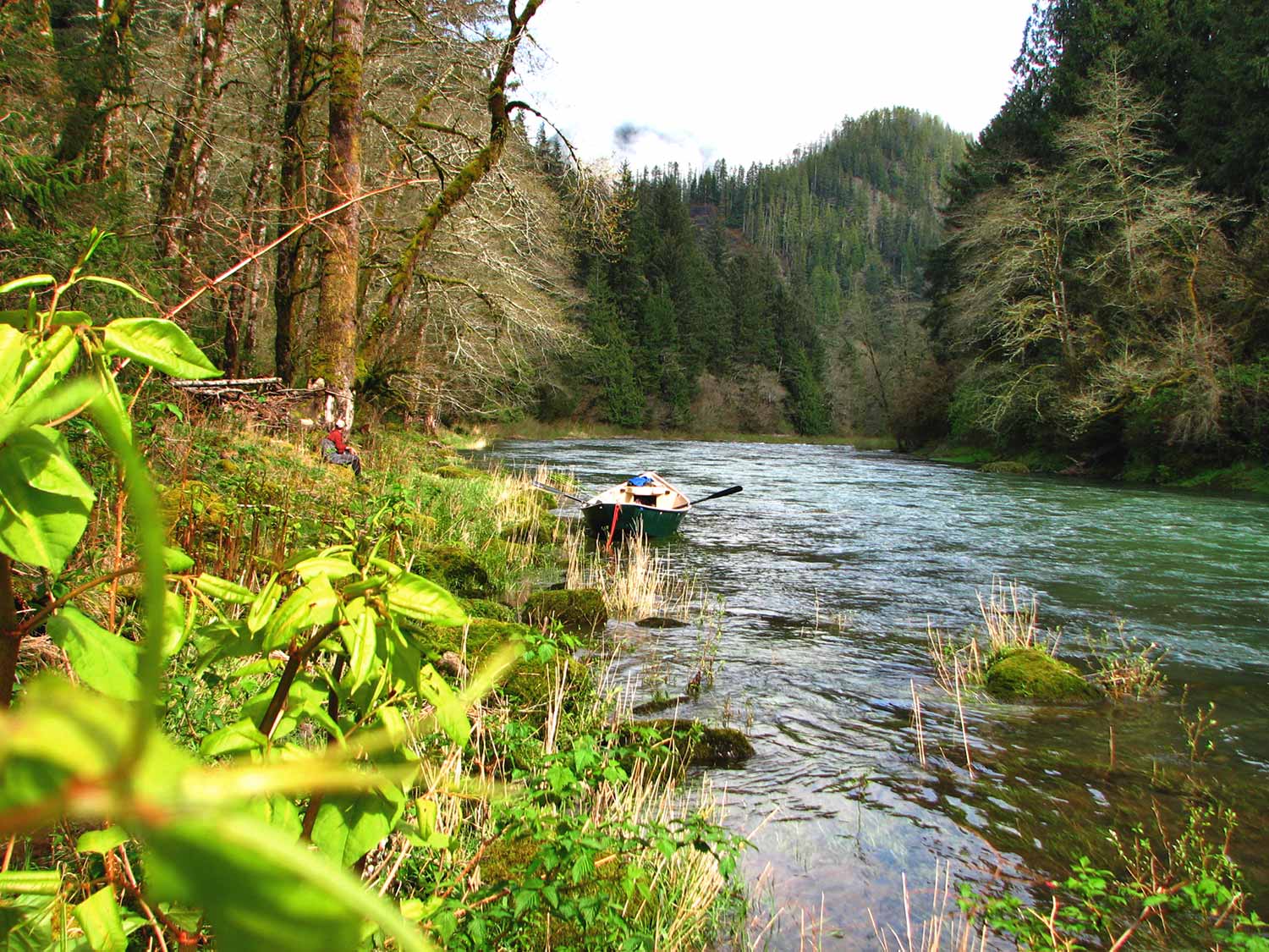 Trask River, Oregon