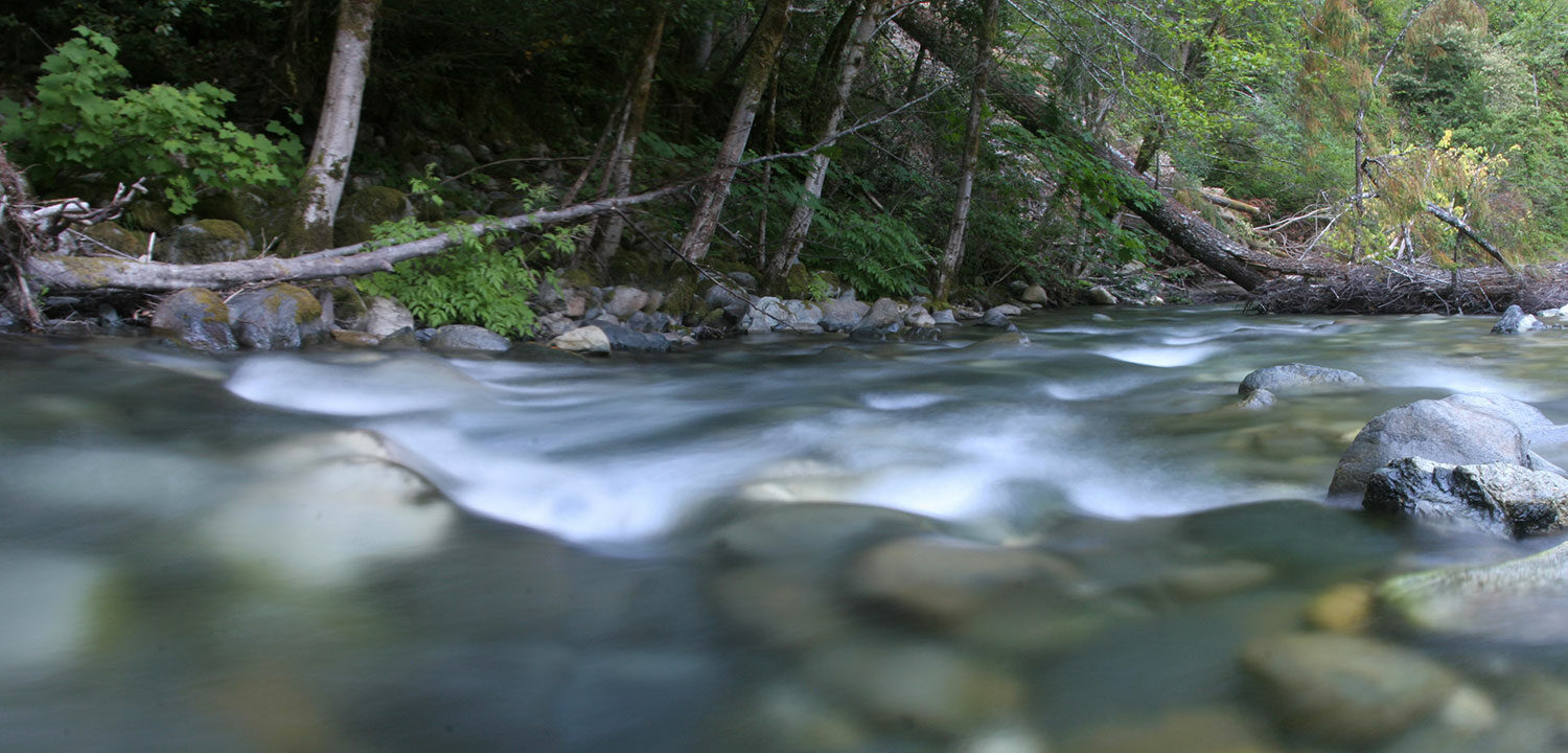 Hurdy Gurdy Creek, a tributary of the Smith River in Northern California