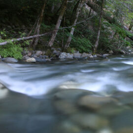 Hurdy Gurdy Creek, a tributary of the Smith River in Northern California
