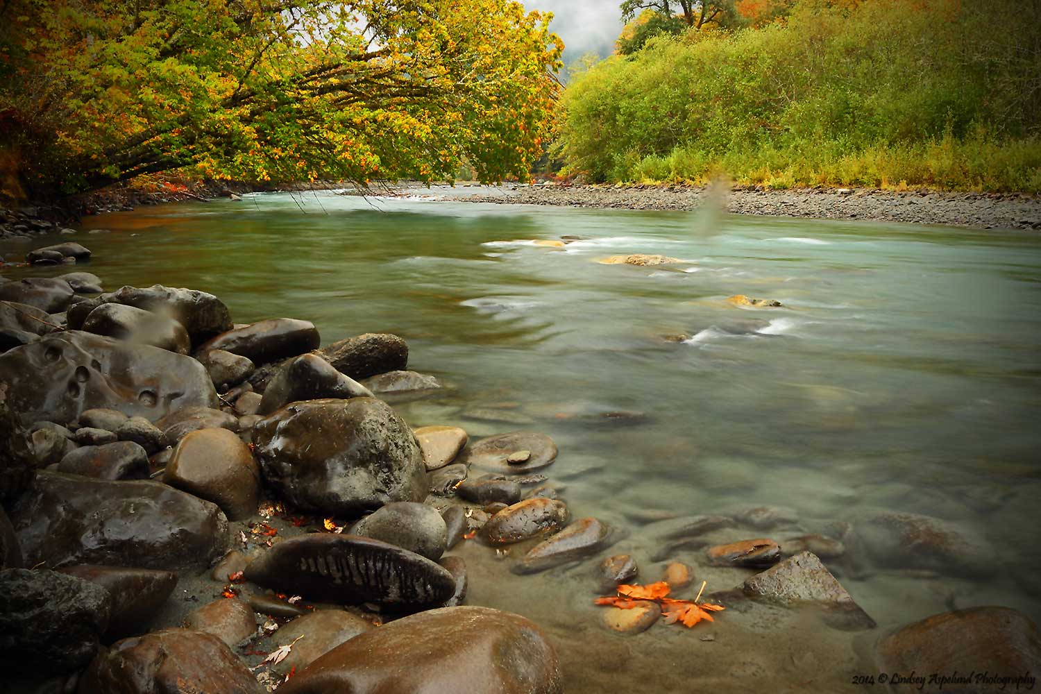 Elwha River in fall