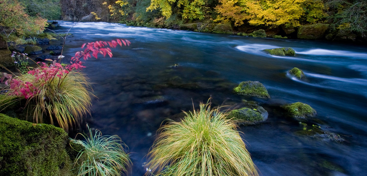 North Umpqua River, Oregon