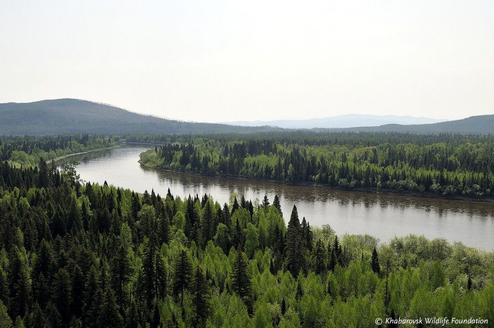Tugursky Nature Reserve, Russia