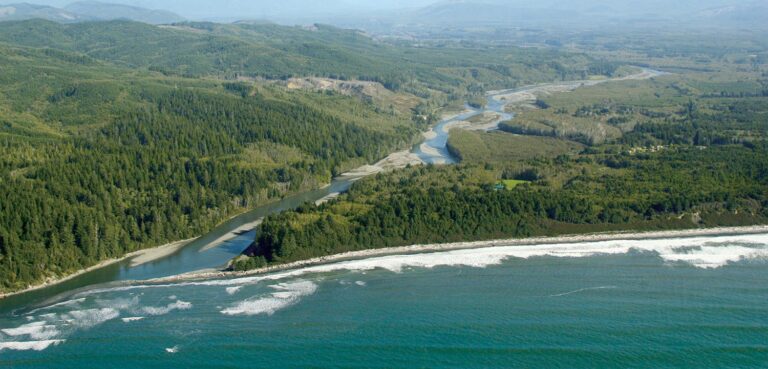 Hoh River Made Whole