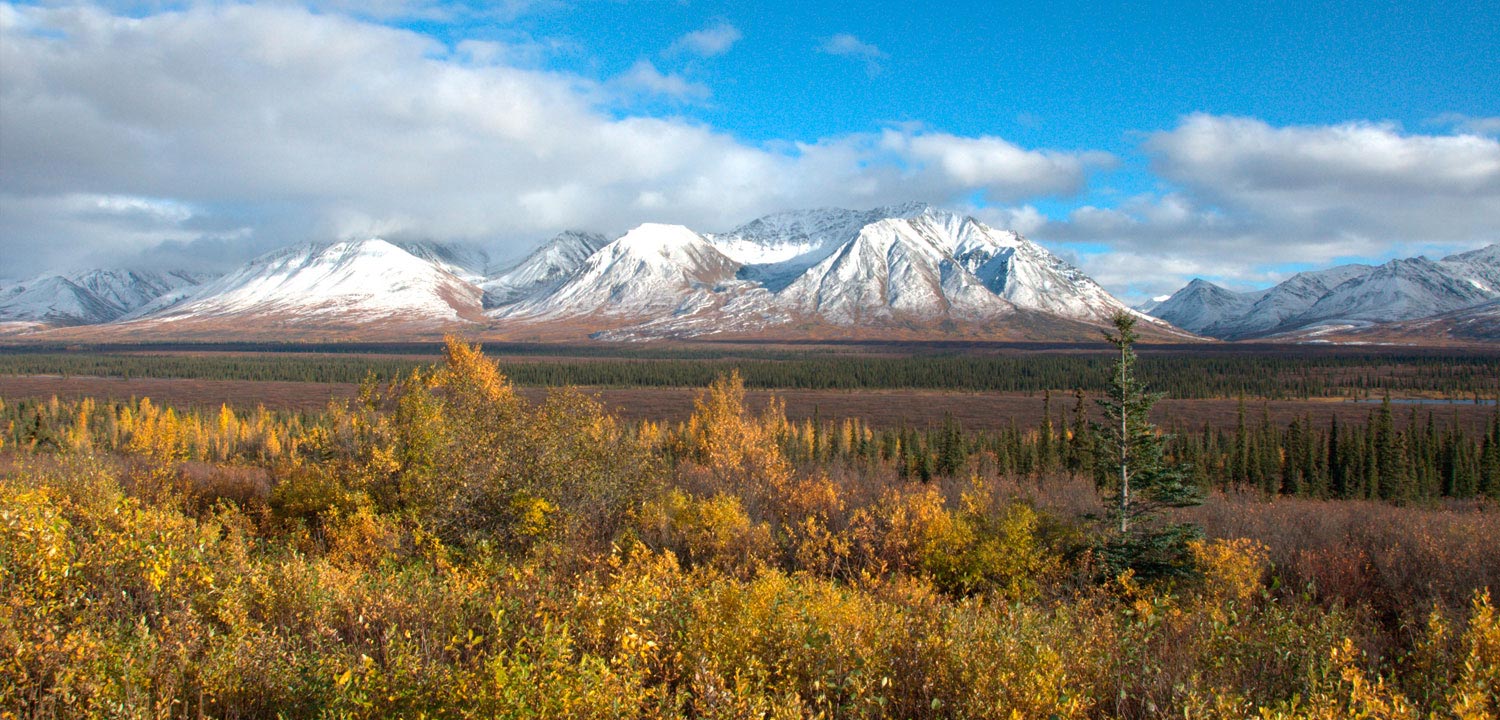 The Susitna with Denali in the background