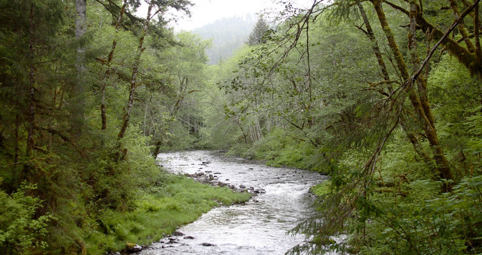 Nehalem River, Oregon