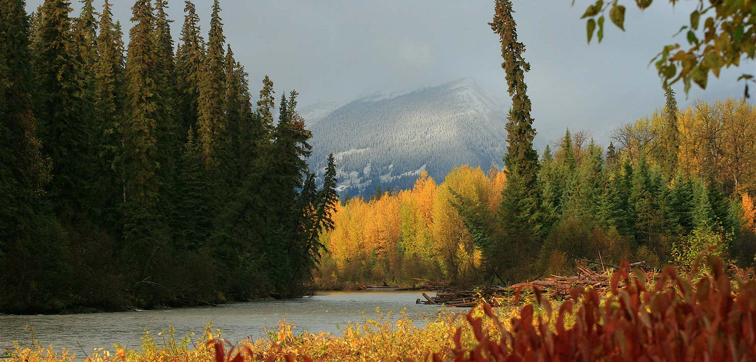 Fall colors in the Skeena-Sustut Watershed