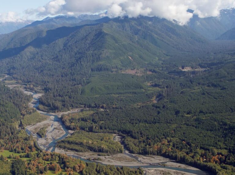 Hoh River, Washington