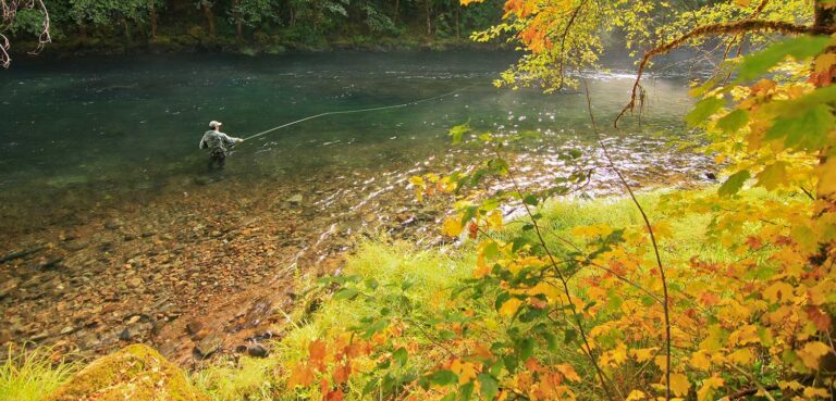 A Sanctuary for Wild Steelhead