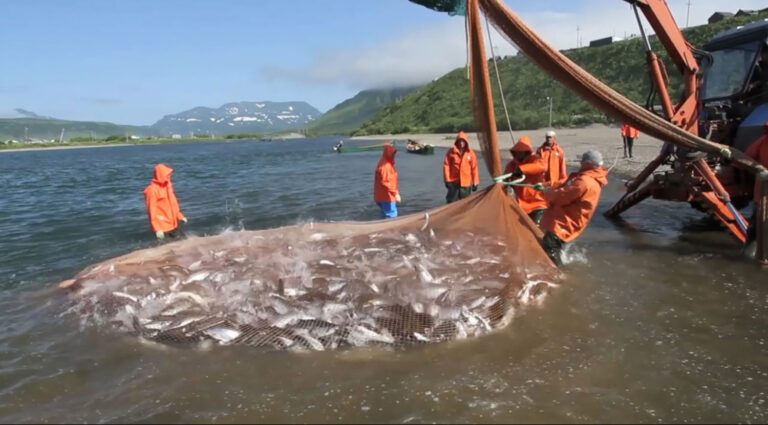 New Salmon Protections in Russia