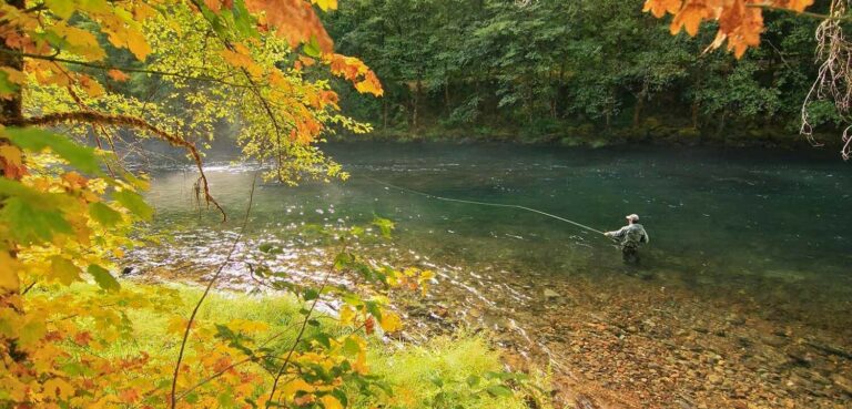 Speak Up For Western Oregon State Forestlands