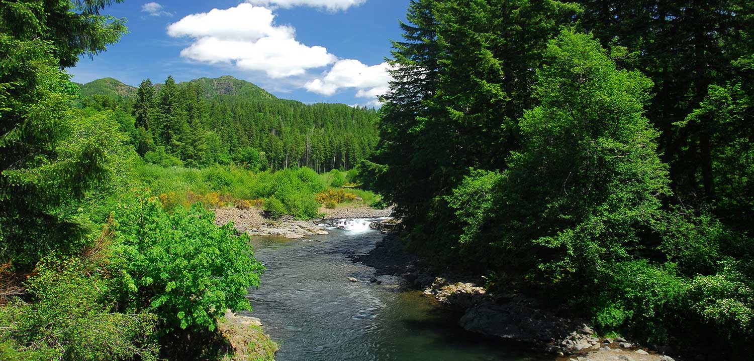 Wilson River Oregon