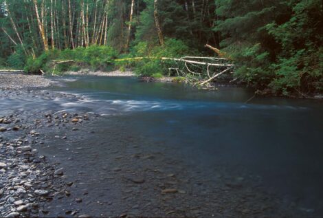 The Hoh River | © John McMillan