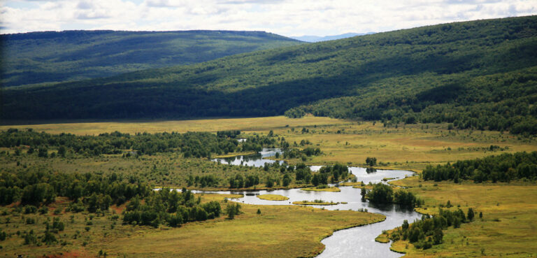 Kol Protected Forever